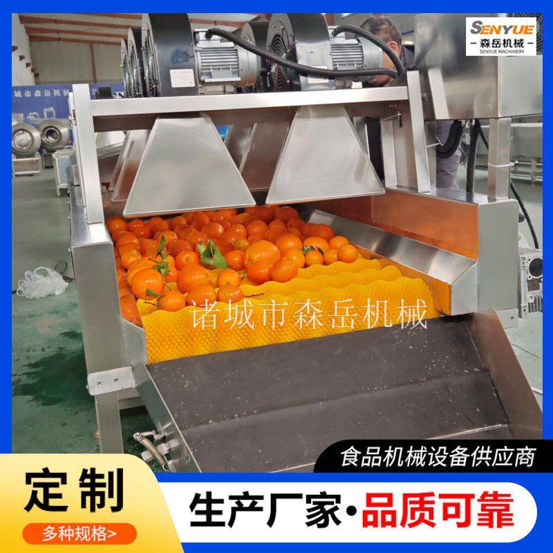 沃柑洗果机选果机茂谷柑清洗机去石灰黄帝柑清洗风干分级一体机