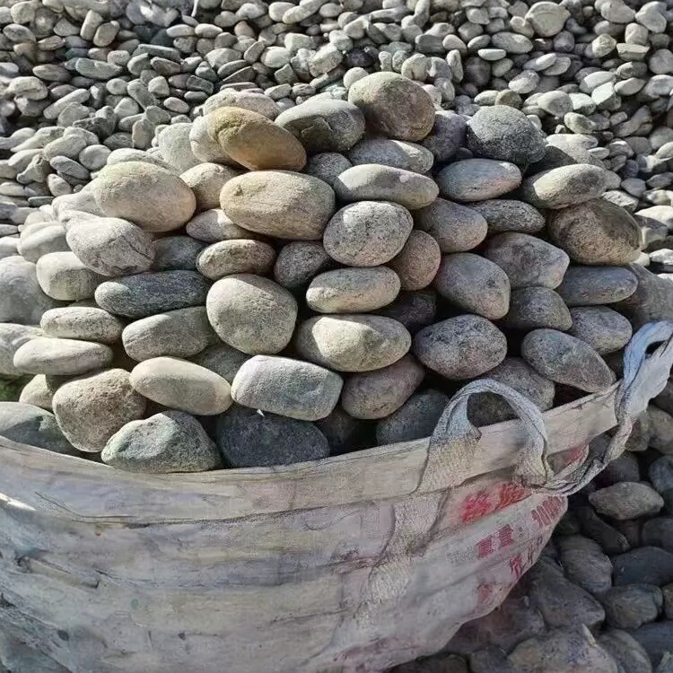 河南河卵石园林绿化河卵石变电站用鹅卵石河卵石铺地石滤料河滩石