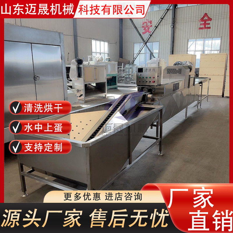 单双排商用洗蛋机 全自动鸭蛋洗蛋机设备 保洁蛋包灰蛋清洗机器