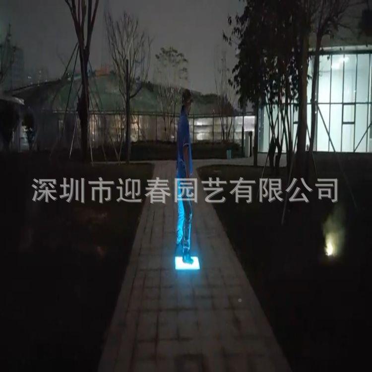 西互04动冷雾脚踏雾森设备制作安安装玉景互动观装置项林目