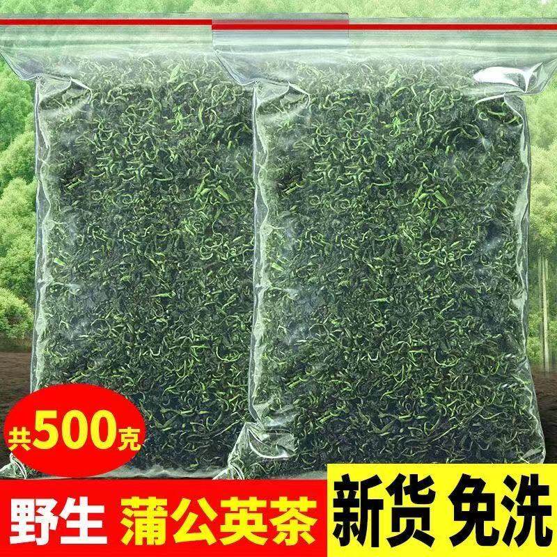 纯蒲公英茶特级新货正宗蒲公英纯天然熟蒲公英茶无硫无添加蒲公英