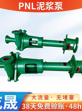 PNL泥浆泵泥浆抽沙切割液下泵立式无堵塞污水大流量PNL泥浆泵