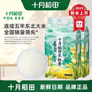 十月稻田寒露秋香长粒香米 5kg/10斤东北大米稻香米
