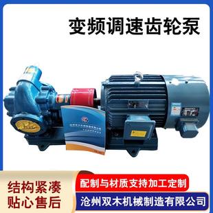 供应变频调速齿轮泵2CY18 3.6无极调速齿轮油泵流量可调