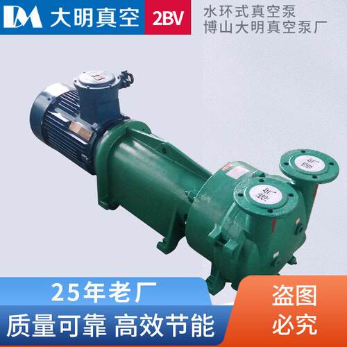 厂供2BV6110/6111/6121/6131/6161防爆水环式真空泵不锈钢真空泵