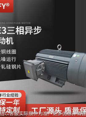 三相异步电动机 YE3-315S/M/L1/L2-6极电机 380V 75-132W风机