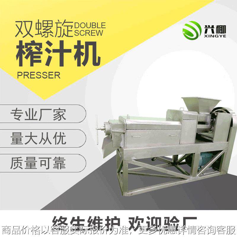 厂家供应双螺旋椰肉榨汁机 饮品店果蔬加工设备榨汁机