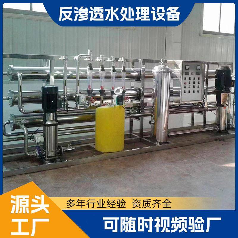 全自动反渗透处理设备大型RO反渗透净水设备工业去离子水处理设备