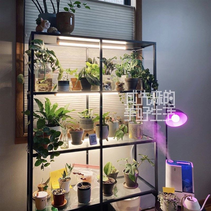 并联补光灯带灯管保温柜辅助补光生长灯温室灯定时植物灯育苗