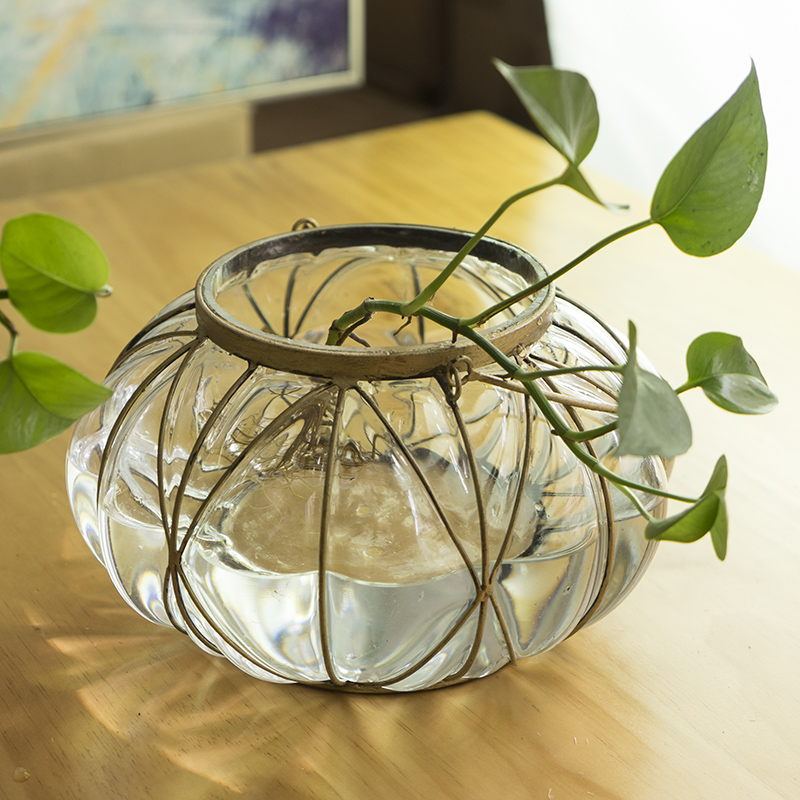 创意玻璃花瓶水培植物花盆大码绿萝玻璃器皿客厅圆形鱼缸客厅摆件