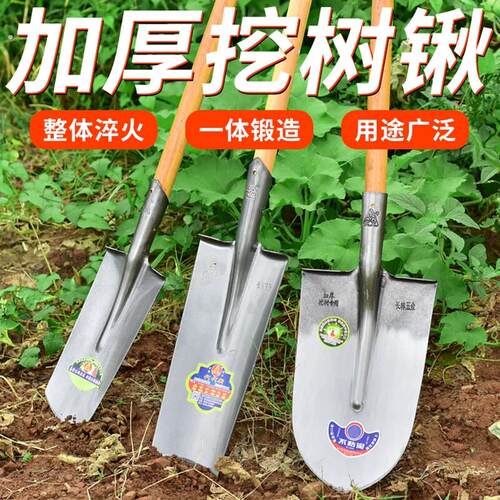 农用工具铲子户外挖土铁锹铁铲锰钢加厚全钢挖树铲树根锹挖坑专用