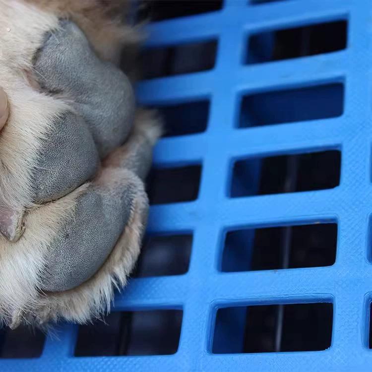 狗垫子塑料垫板猫笼狗笼子脚垫板宠物鸡猪垫网格养殖板底网漏粪板