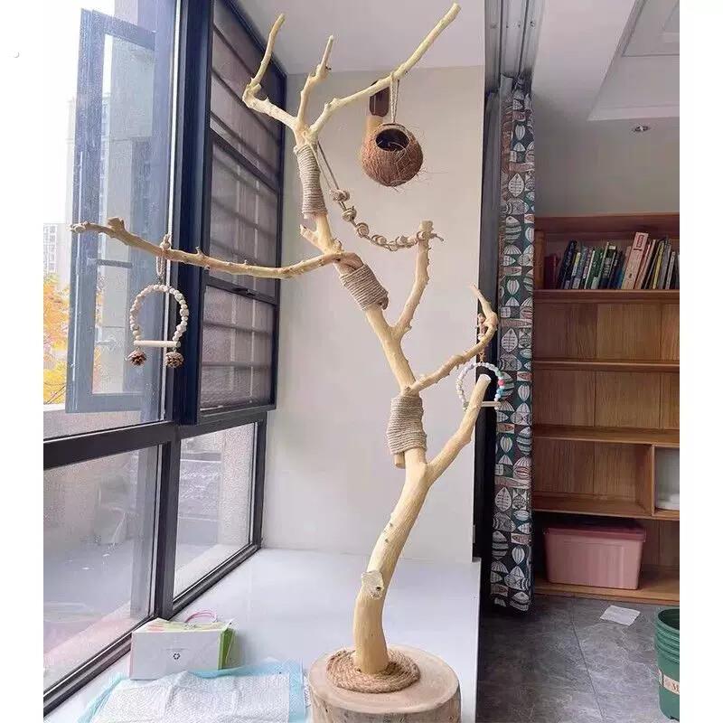 鹦鹉树枝站架干树枝原木杈树枝落地灯小鸟站架落地式木架子房间装