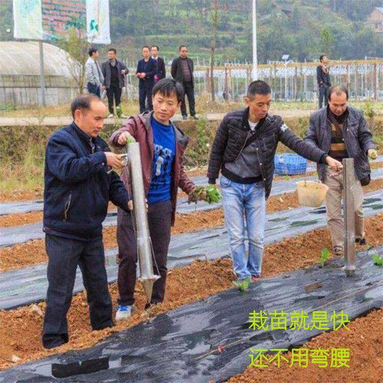 蔬菜栽苗器大棚穴盘幼苗定植移栽器加厚不锈钢手提家用移苗种苗器