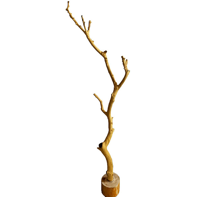 干树枝摆件树干装饰小木棍客x厅造景树枝宠物造型树杈衣架道具枯