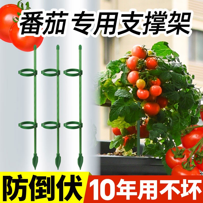 西红柿番茄辣椒固定杆爬藤吊兰园艺花架花支撑架植物防倒伏支撑杆