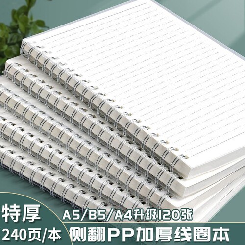 笔记本本子b5线圈本加厚ins风