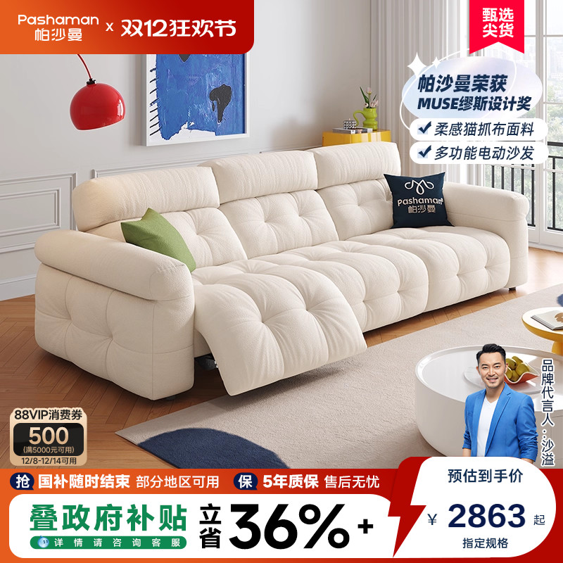 国补15帕沙曼功能发电动猫