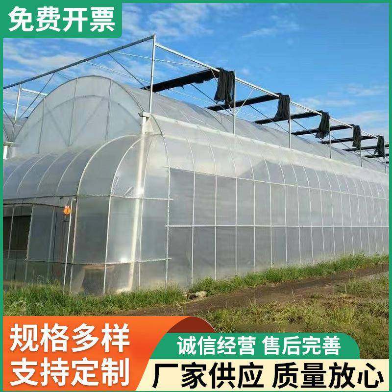 温室大棚搭建采光好建设快蔬菜花卉育苗棚现代农业连栋薄膜温室,农机/农具/农膜,智能温室设备,淘宝优惠券,粉丝福利购,淘宝优惠卷