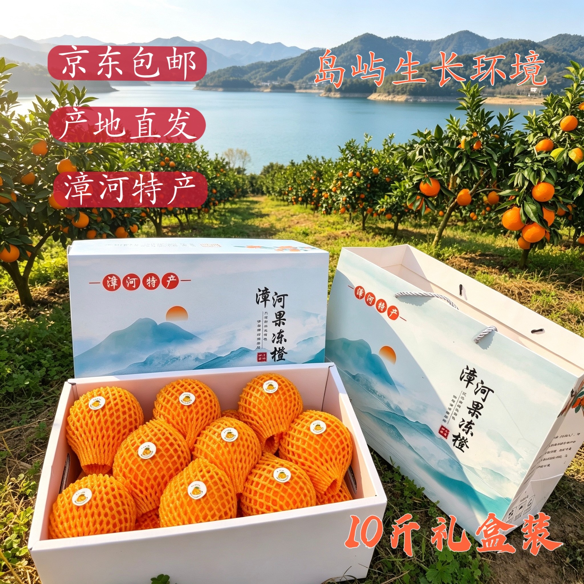 荆门特产漳河果冻橙李集岛果冻橙特级果王10斤礼盒装送人现摘现发