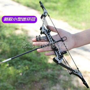 迷你复合弓套装大威力射箭猎鹰室内休闲解压打靶轮滑弓不锈钢射击