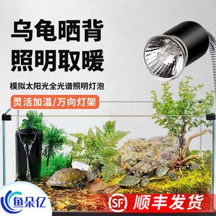 乌龟晒背灯加热uvba全光谱太阳补钙三合一爬虫缸宠物蜥蜴保暖恒温