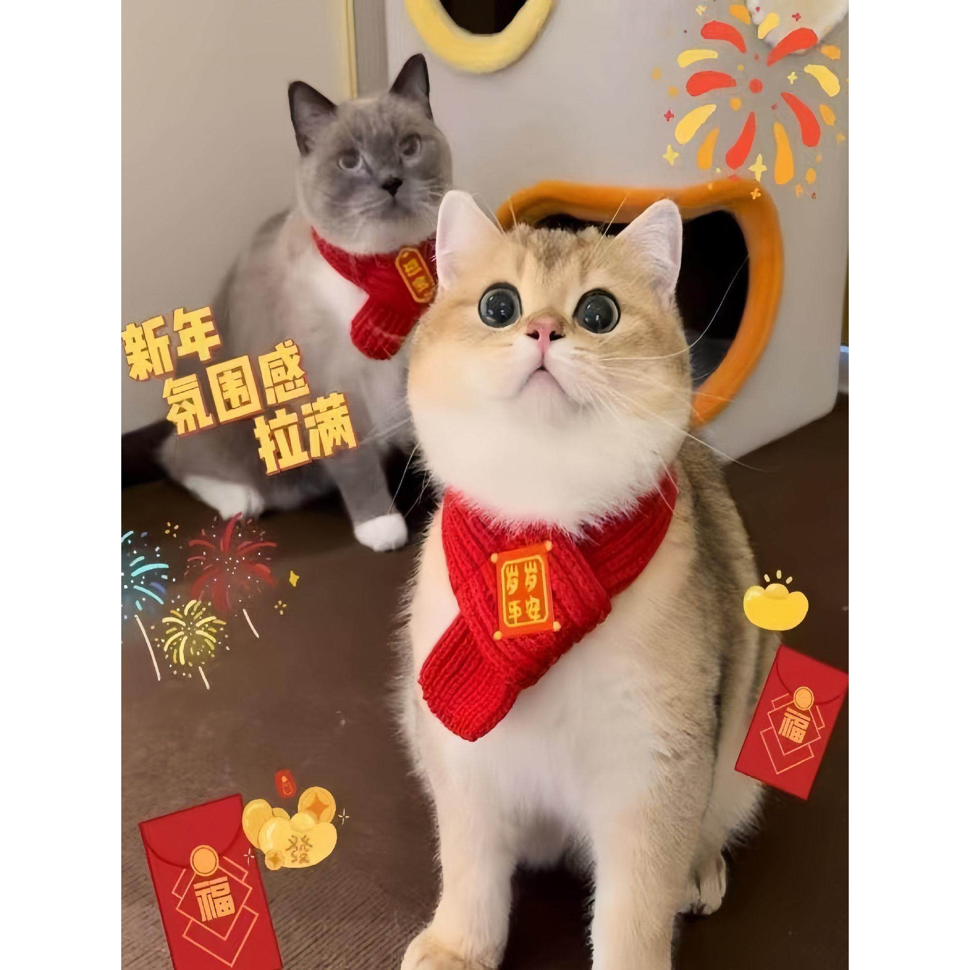 猫咪新年围巾宠物围脖红色围兜狗狗新年装饰品保暖中国风口水巾,宠物/宠物食品及用品,围巾/口水巾,淘宝优惠券,粉丝福利购,淘宝优惠卷
