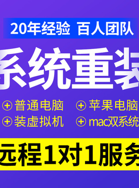 远程做电脑系统重装win7/10/11安装升级专业纯净版台式笔记本刷机