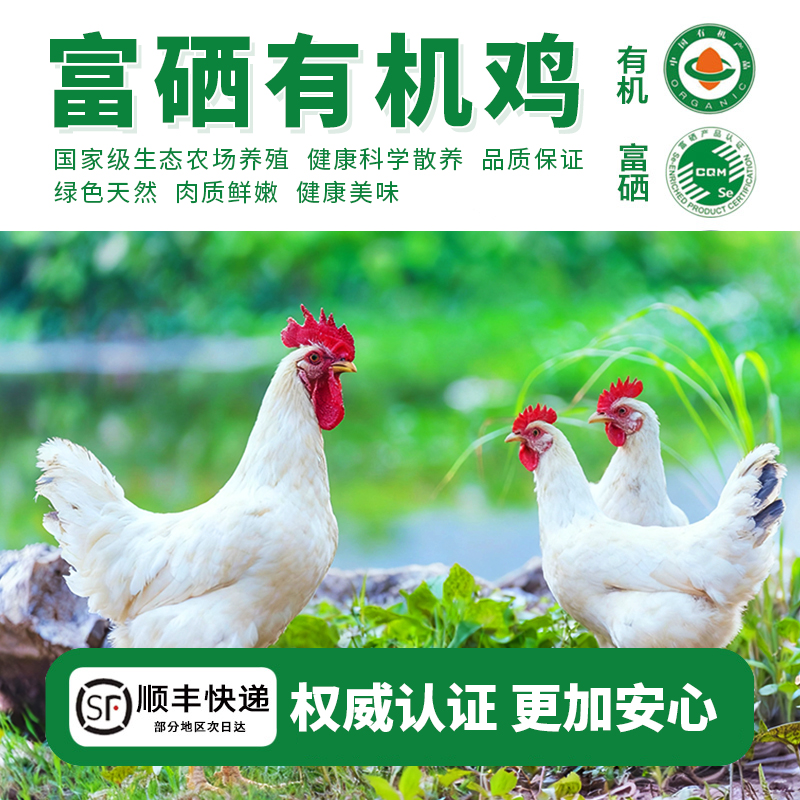 富硒有机散养鸡整只老母鸡