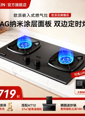 欧派(OPPEIN)大火力燃气灶台家用双灶天然气煤气OPP-JJX64