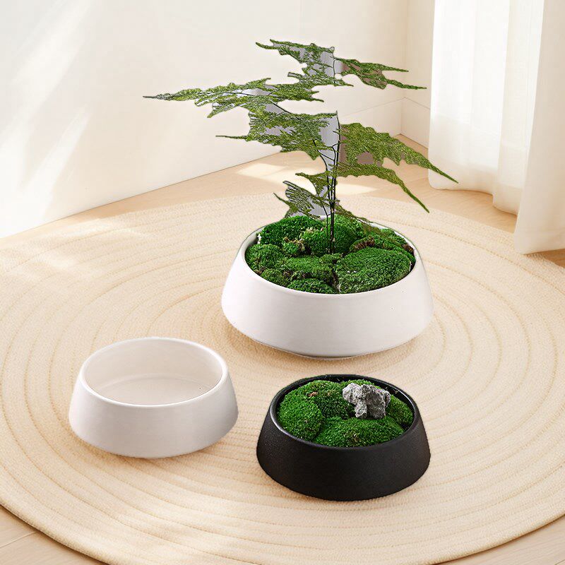 青苔苔藓花盆养仙孔培容器文竹多肉磨砂黑扁矮花器