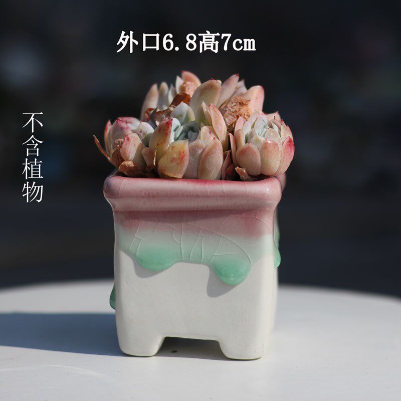 小号多肉冰裂花盆可爱简约拇指粗陶喜光盆陶瓷地面