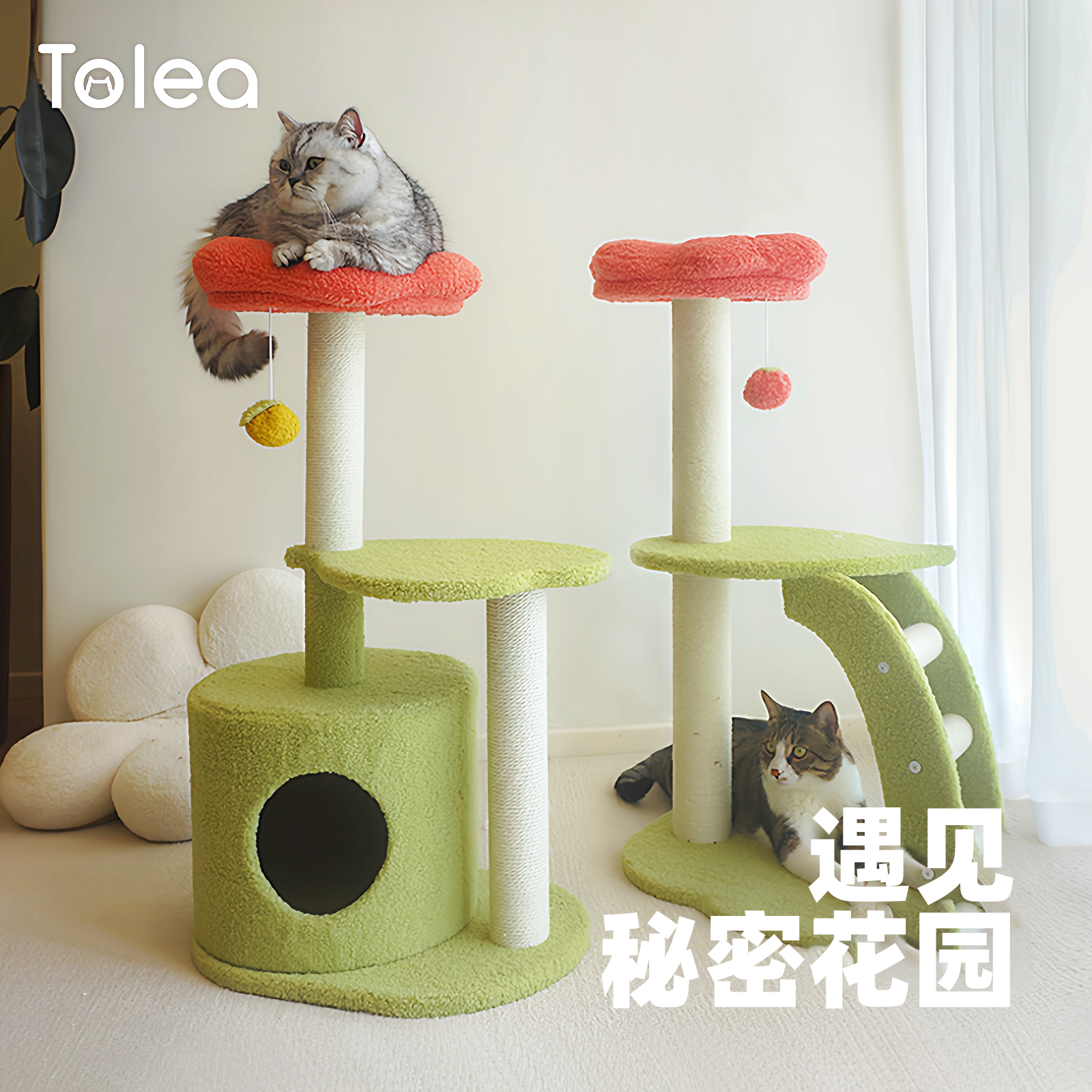 二狸花朵树猫爬架不占地小户型