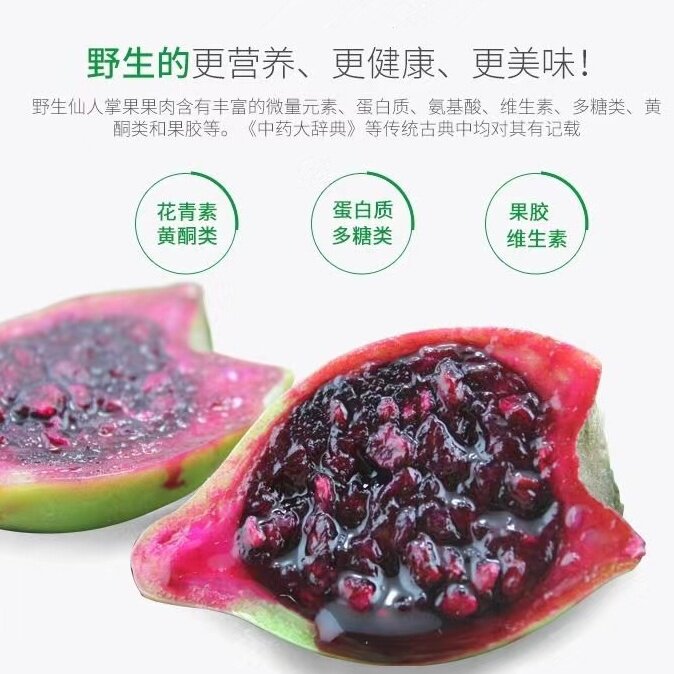 海南野生仙人掌果食用大果仙桃