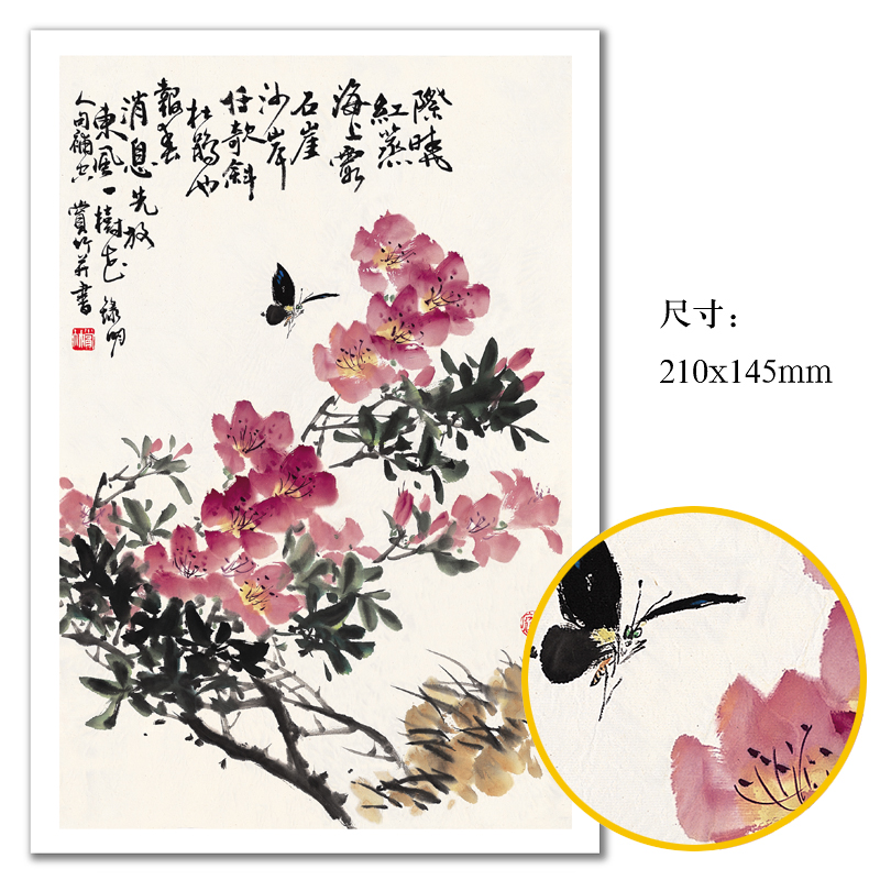 名师国画临摹卡 花鸟p篇水墨绘画入门艺术培训基础入门全套48幅
