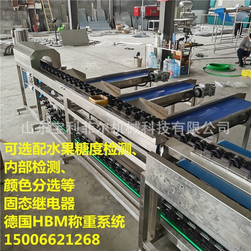 水果分选机 梨苹果重量分级机 全自动电脑选果机 水果分选分拣线