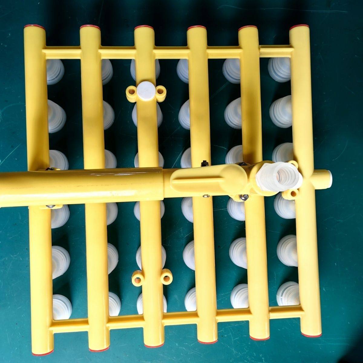 真空码蛋器30枚6枚15枚