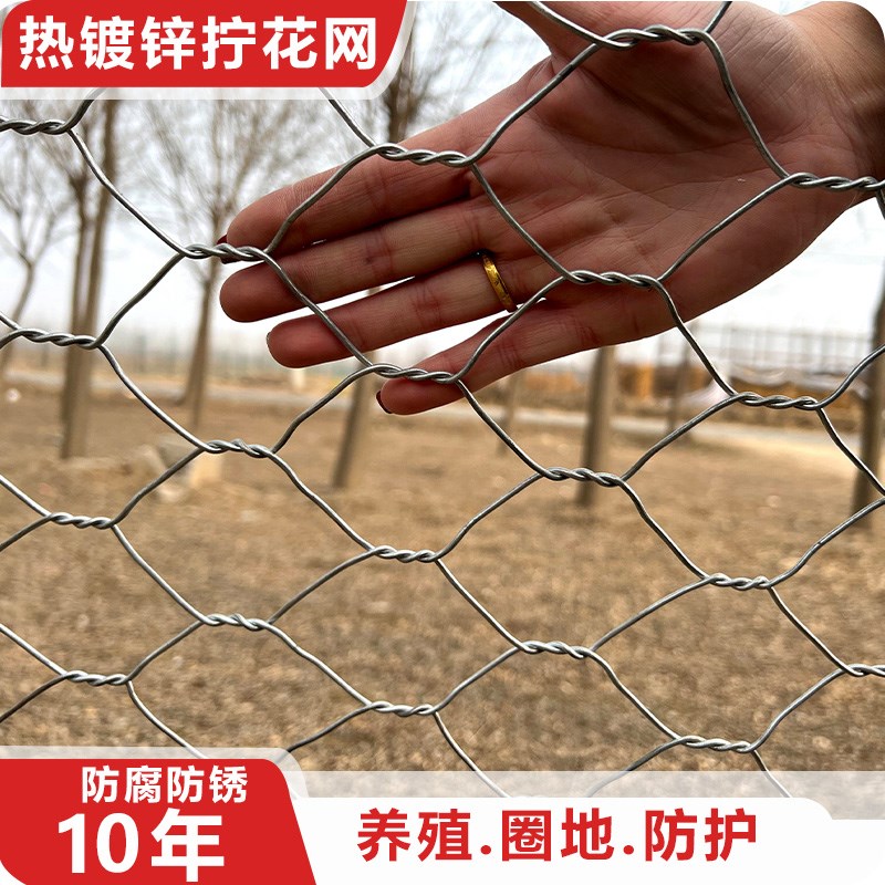 镀锌铁丝网围栏鸡鸭养殖护网隔离网户外养牛羊护栏网拧花六角网