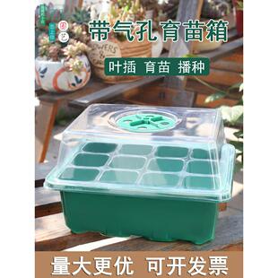 多肉播种育苗盆育苗箱扦插叶插12孔6孔塑料穴盘育苗块保温闷养盖