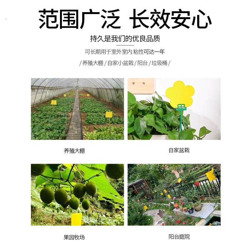 粘虫板黄板双面粘虫板粘苍蝇贴强力粘蝇纸双面贴大棚果园果蝇诱捕