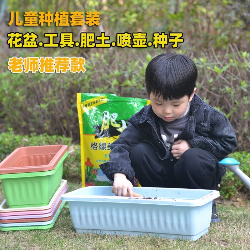 阳台儿童种植套餐花盆种菜种花观察植物生长幼儿园小学生种植盆