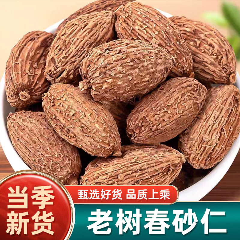 砂仁中药材正品500g克阳春砂仁毛砂仁煲汤火锅香料