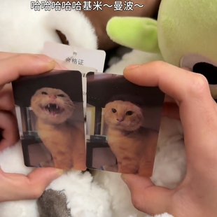 光栅卡猫咪耄耋猫猫光栅卡3d可爱哈基咪文化小猫挂件