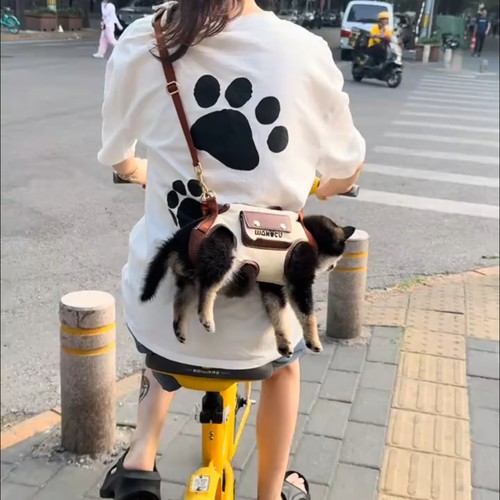 wakytu宠物外出背包牵引绳