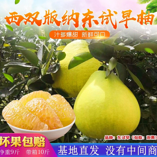 西双版纳当季柚子东试早丑柚蜜柚白柚傣柚青柚孕妇水果新鲜