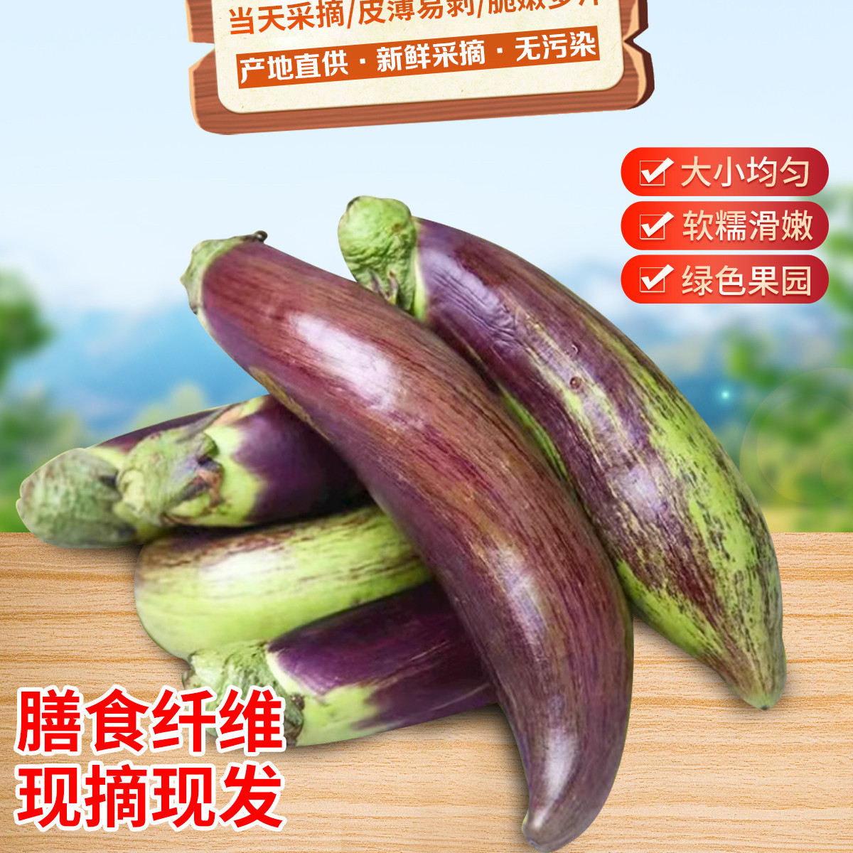 云南冰川茄子新鲜蔬菜脆皮茄老品种竹丝糯米茄面包茄缅甸霜降茄