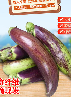 云南冰川茄子新鲜蔬菜脆皮茄老品种竹丝糯米茄面包茄缅甸霜降茄