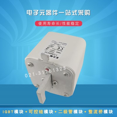 快速熔断器保险丝170M8630 8631 8632 8633 8634 8635 8636 8637
