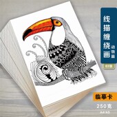 美术动物线描线条临摹卡少儿创意彩色黑白线描装 饰画艺术培训范画