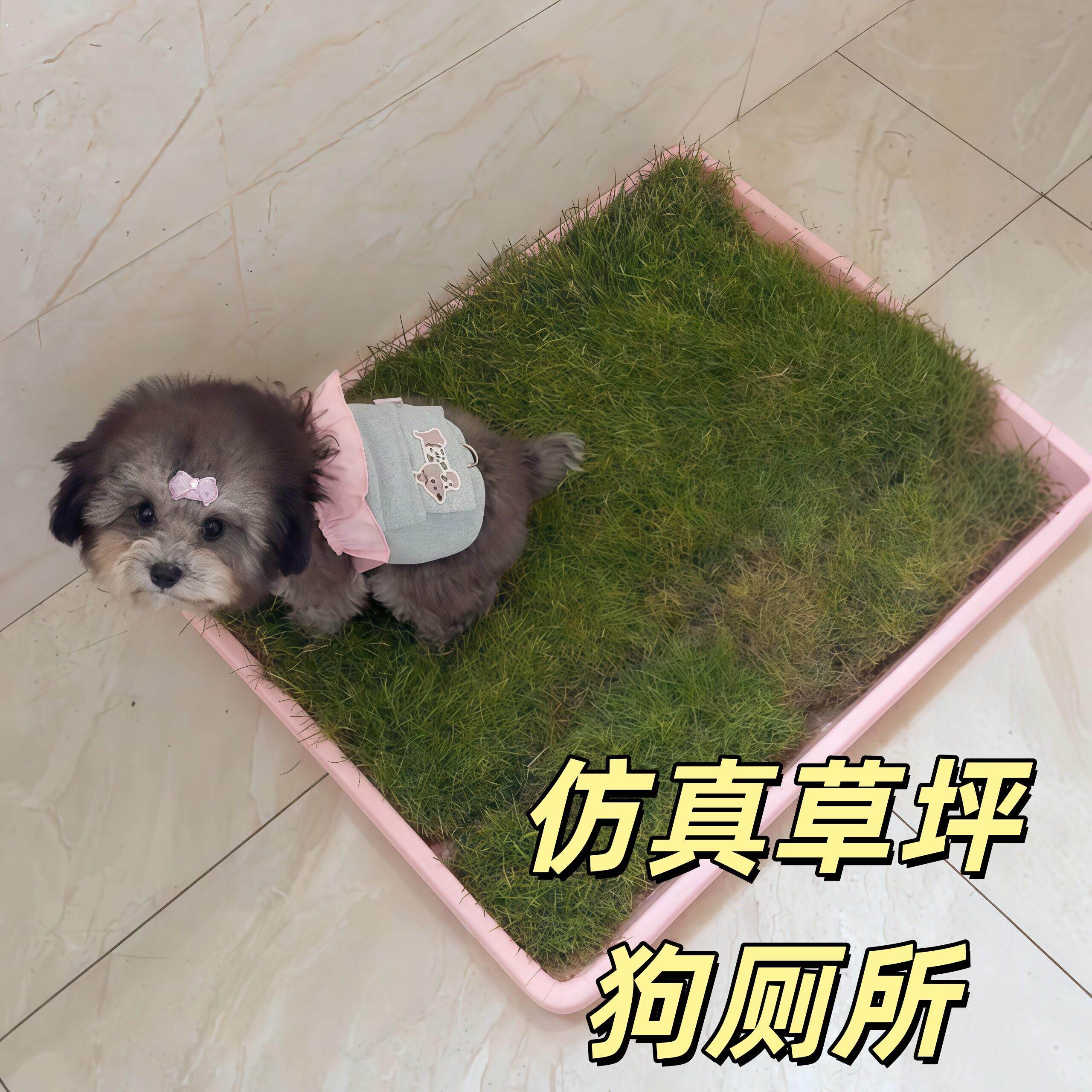 仿真草坪狗厕所小中大型犬尿尿绿色假草皮固定尿垫狗狗便盆狗砂盆